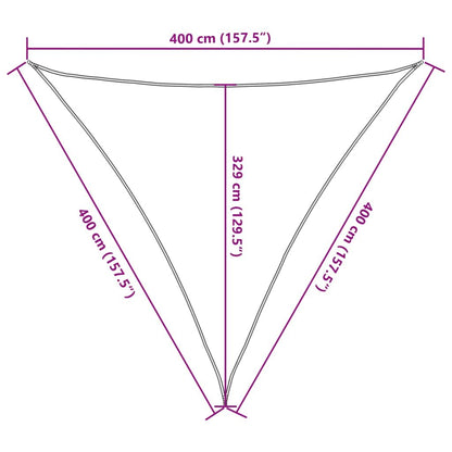 Vidaxl Toldo De Vela Hdpe Negro 160 G/m² 4x4x4 M_2