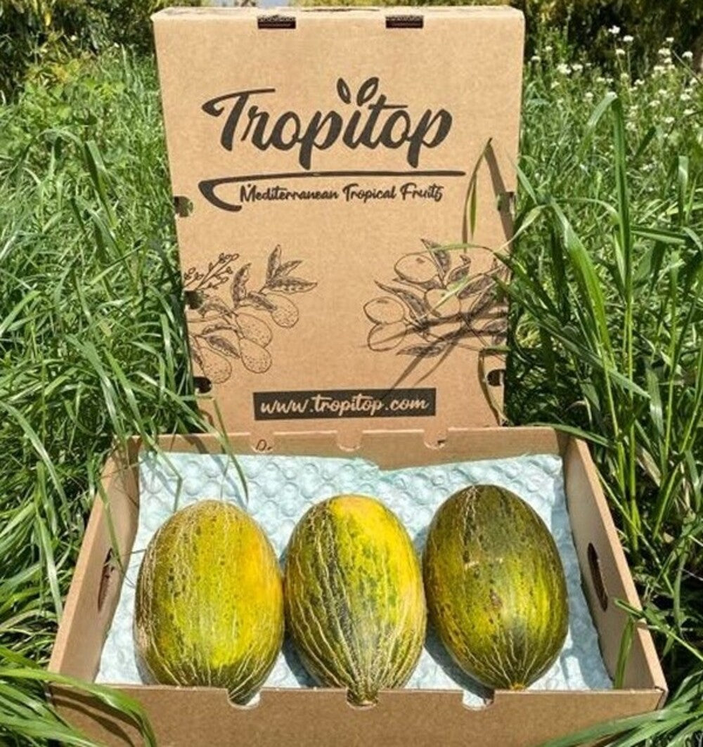 Caja De Melón Piel De Sapo Tropitop Caja De 2 Unidades (aprox. 7kg )_3