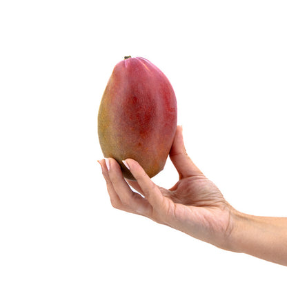 Mango Osteen 2kg Granada La Palma_3