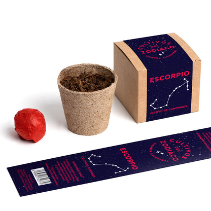 Cultivos Del Zodiaco – Escorpio | Kit De Cultivo Con Semillas De Canónigos_2