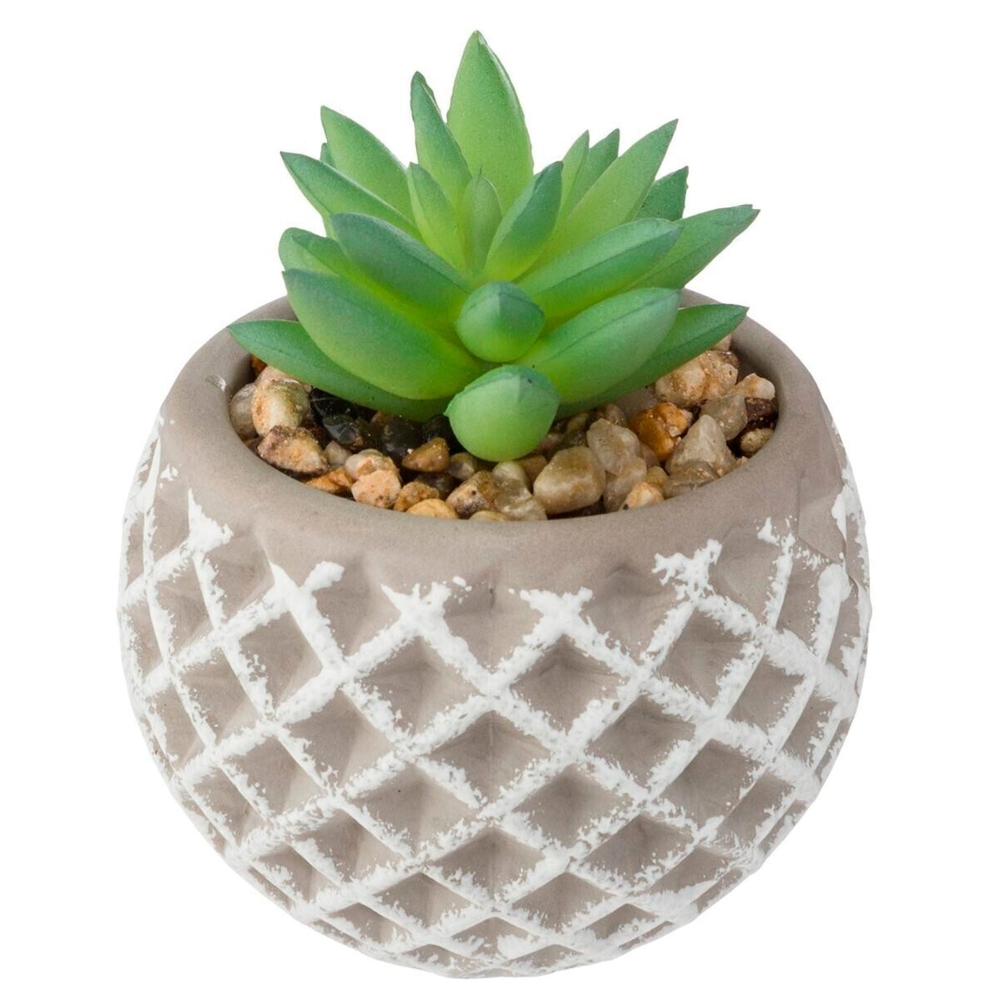 Olla De Cemento Suculenta