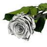 Mundo Eterno Rosa Preservada Plata 35cm