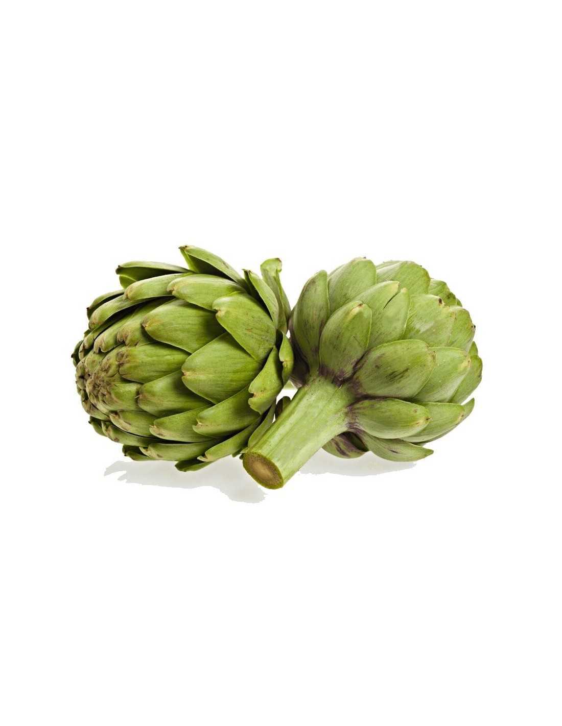 Alcachofa De La Rioja Bio - 1kg_0