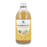 Kombucha ECO Jengibre y lemongrass Planeta Huerto 330 ml