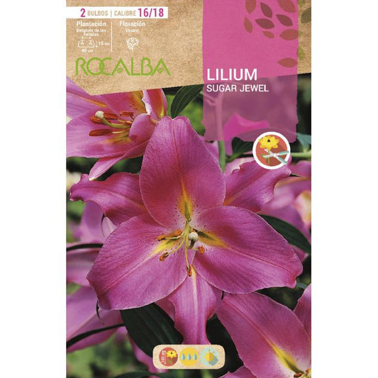 Bulbo Lilium Sugar Jewel rosa 2 unidades (16/18)