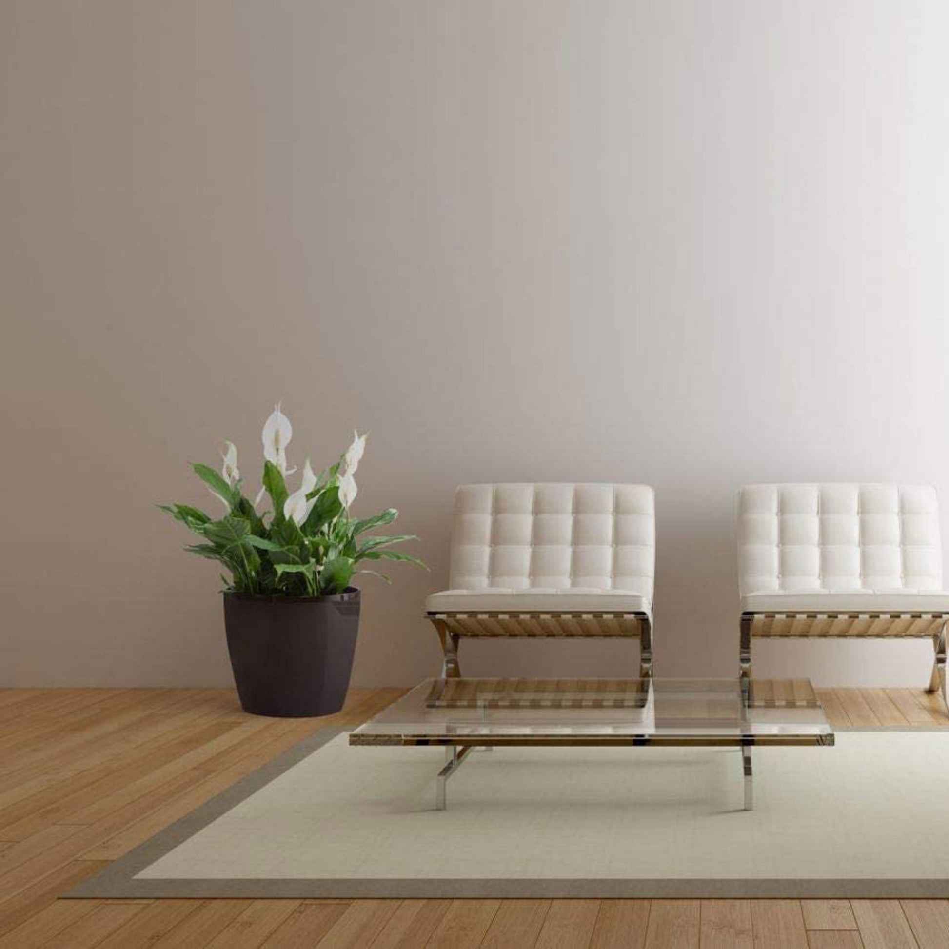 Macetero Magnolia 250 Marrón_2