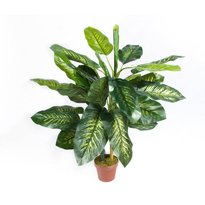 Planta Artificial Aracea - Decoración Natural Sin Mantenimiento 1.2 M / Multicolor_1