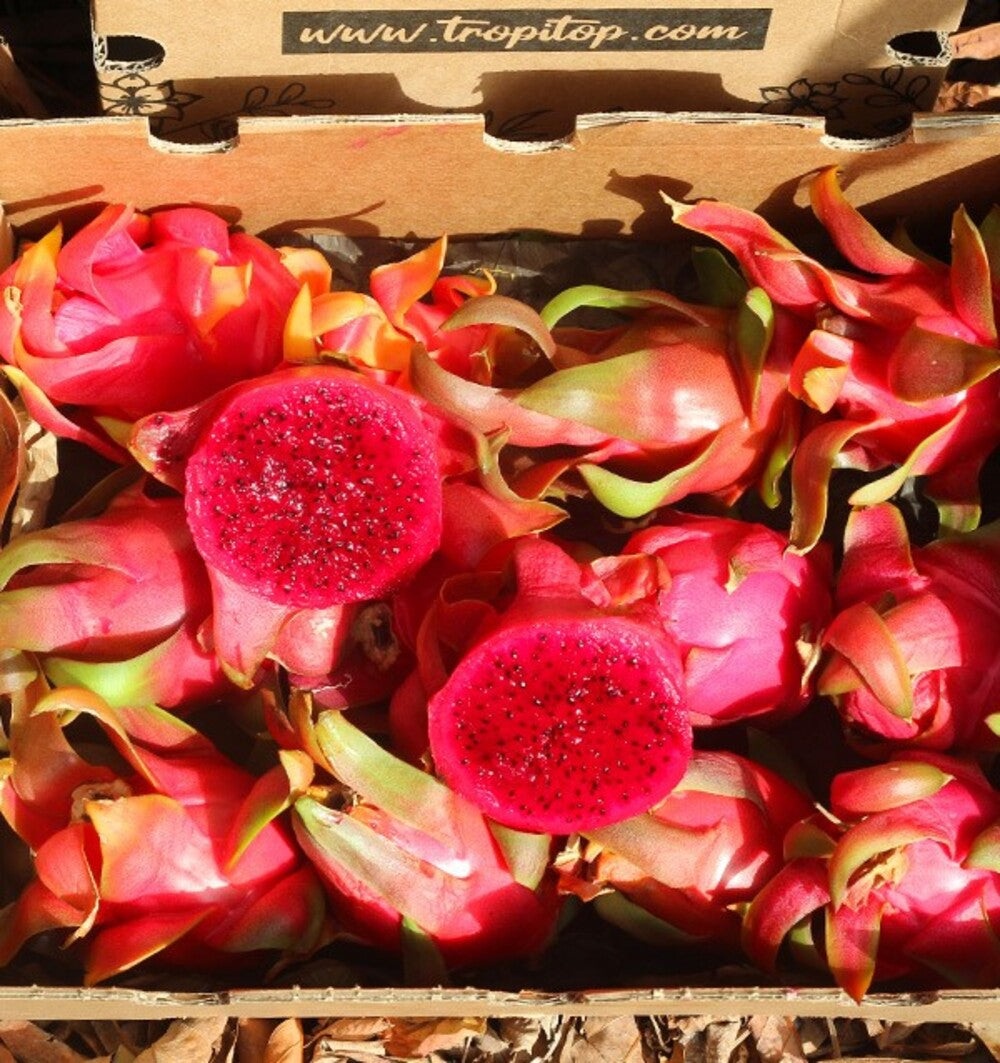 Pitahaya O Fruta Del Dragón - Caja De 2kg_2
