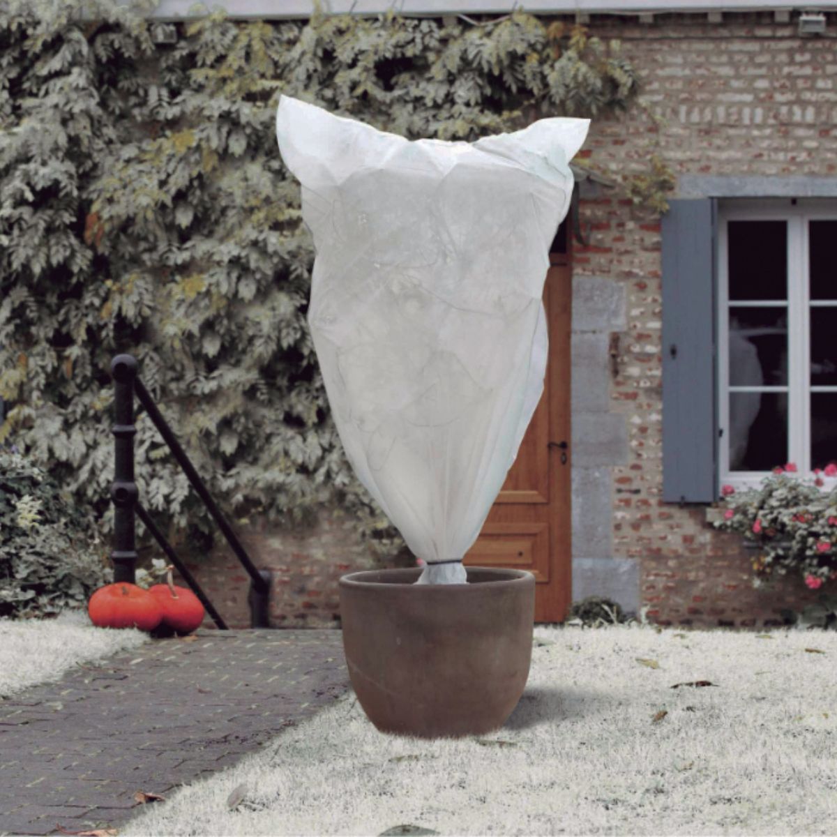 Funda de hibernación antiheladas Winterbag 0,65 x 1,50 m Nortene 3 ud