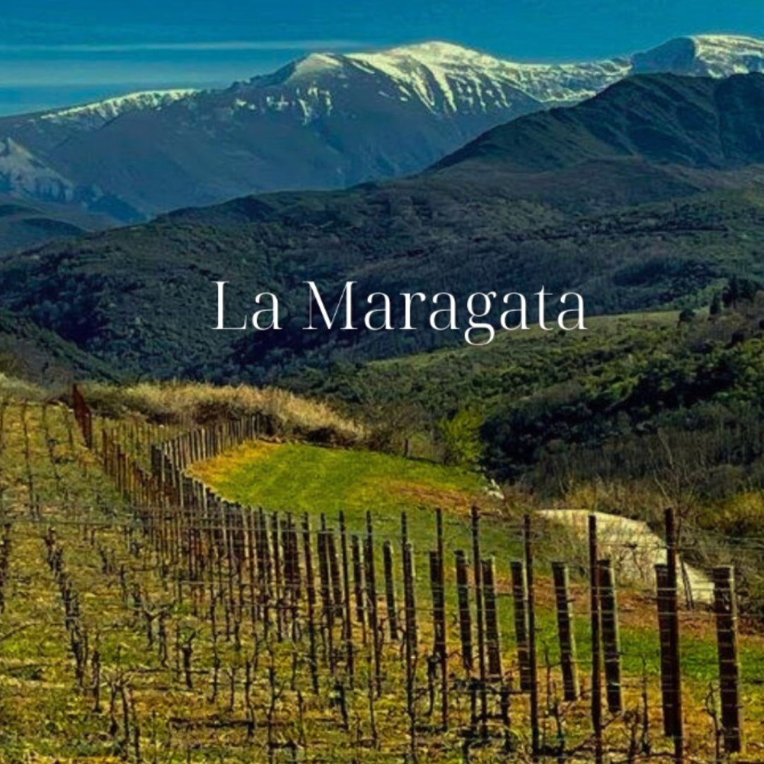 La Maragata - Vino Blanco Godello 2019_2