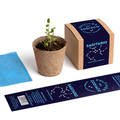 Cultivos Del Zodiaco – Sagitario | Kit De Cultivo Con Semillas De Tomillo_4
