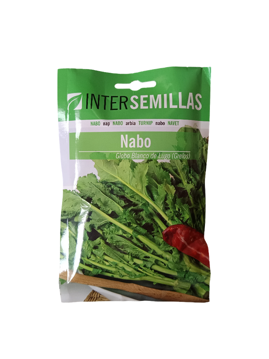 Semillas De Nabo Variedad Globo Blanco De Lugo Grelos 100 Gr._0