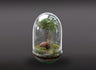 Nanogarden Terrario Ginseng Jungle 30x17 Cm