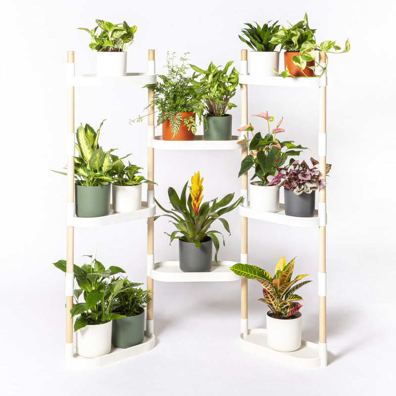 Soporte Modular Citysens De 8 Bandejas Blanco, Con 4 Plantas De Regalo_0