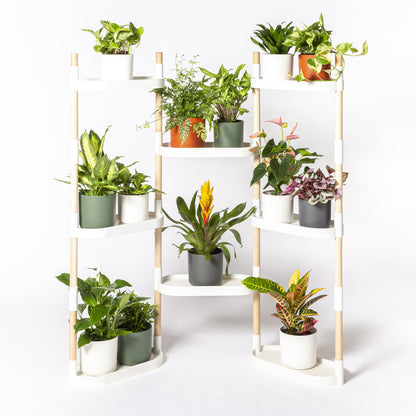 Soporte Modular Citysens De 8 Bandejas Blanco, Con 4 Plantas De Regalo_0
