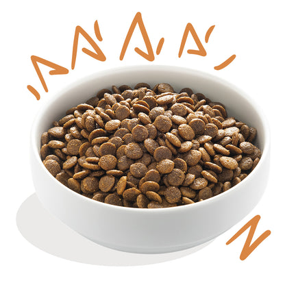 Pienso para perros Pollo de corral Edgard & Cooper 1 kg