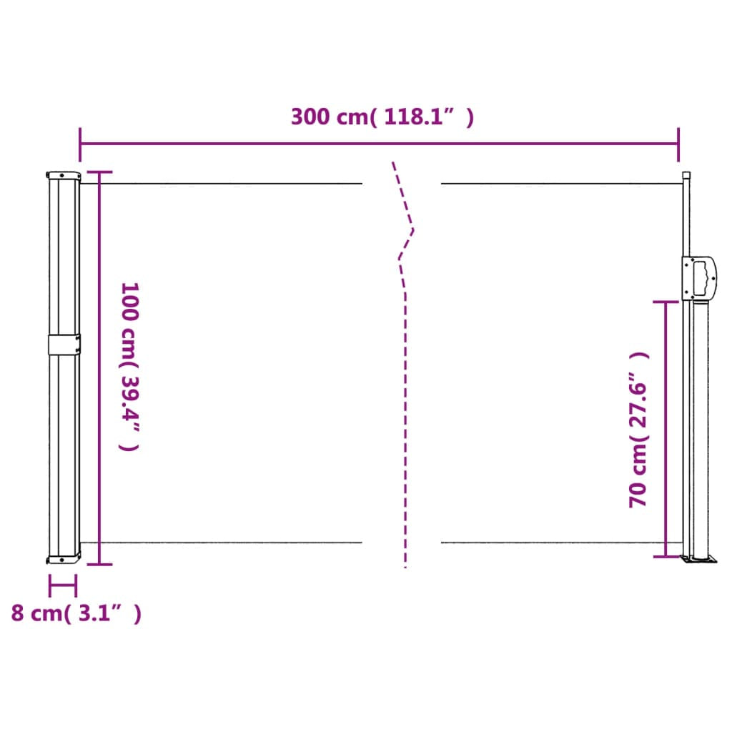Vidaxl Toldo Lateral Retráctil Azul 100x300 Cm_2