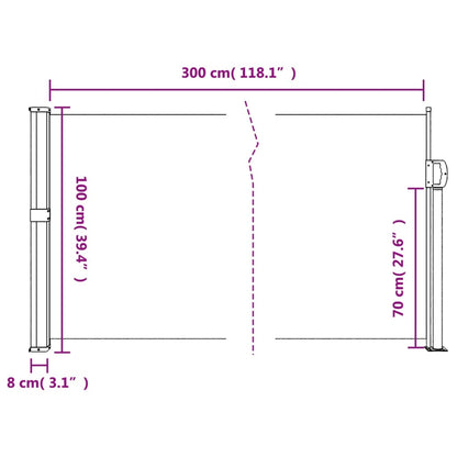 Vidaxl Toldo Lateral Retráctil Azul 100x300 Cm_2