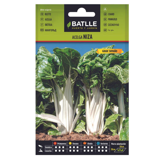 Semillas de Acelga Niza Batlle