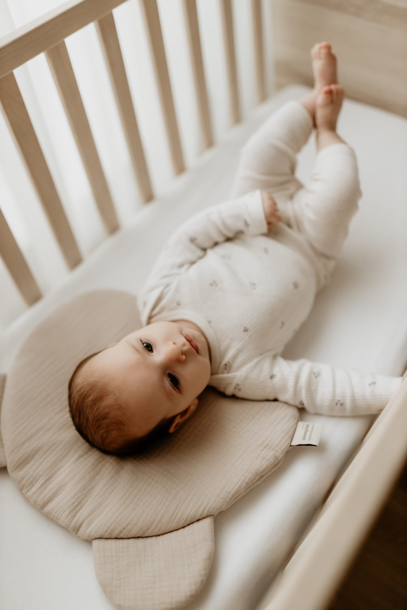 Almohada Plana Osito Para Bebe Muselina Sand