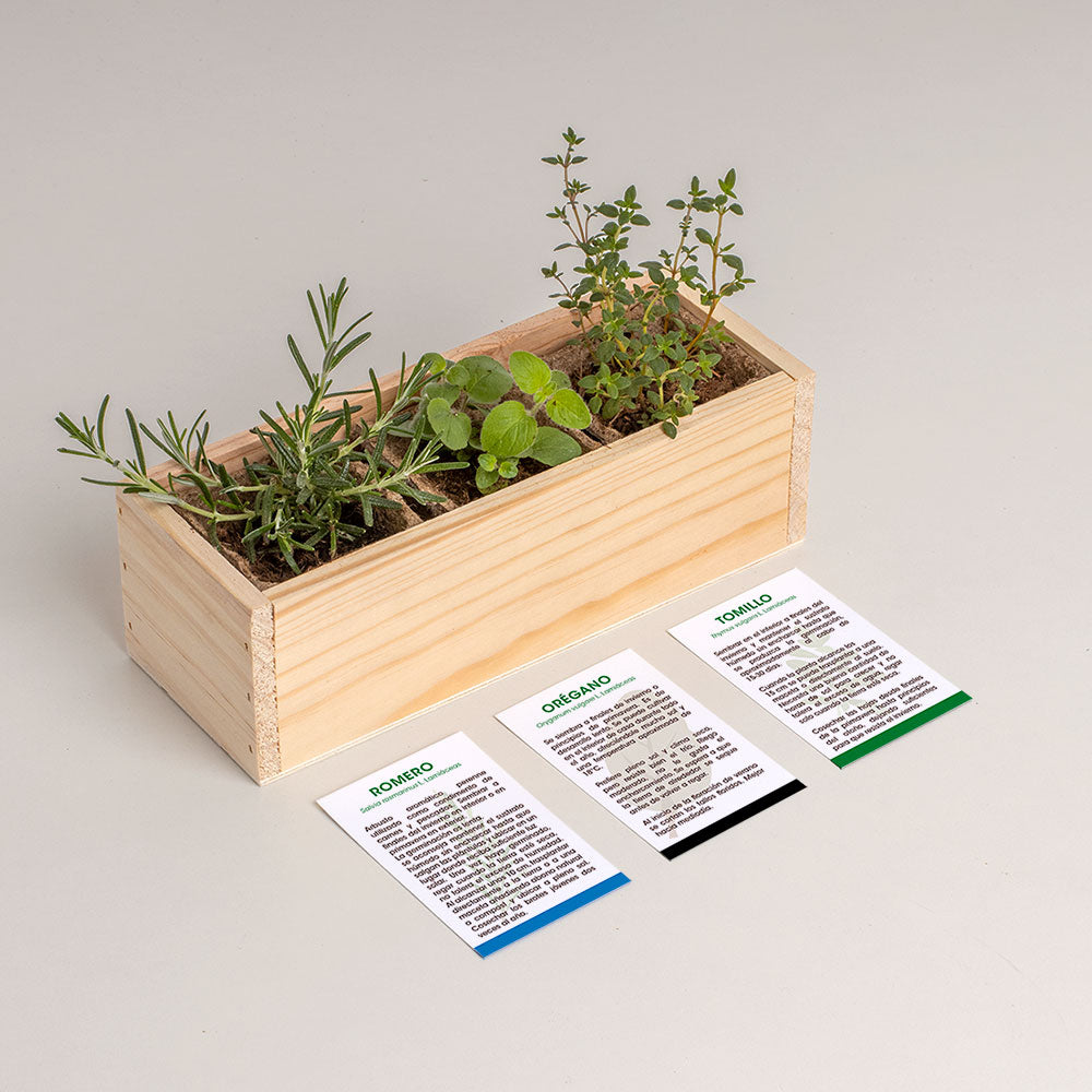 Mini Huerto Mediterráneo | Kit Cultivo Aromáticas (romero, Orégano Y Tomillo) | Huerto Urbano En Casa | Regalo Original_2