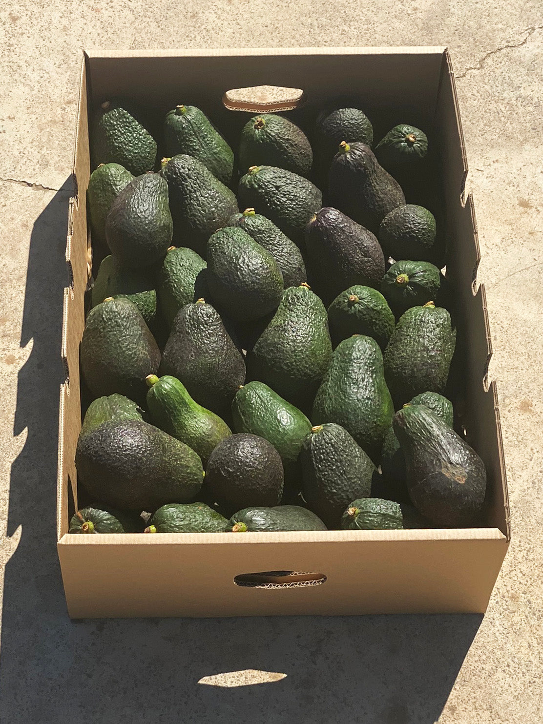 Aguacates Hass Fruta Española De Temporada Tropitop 10kg_1