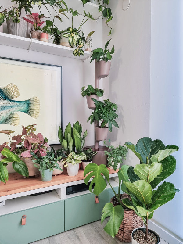 Macetero Vertical Citysens 3 Macetas Con Riego Inteligente – Color Corteza De Pino, Teka, Polipropileno 100% Reciclado_2