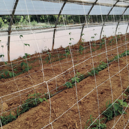 Malla para entutorar compostable Trellinet Compost Nortene 5 x 2 m