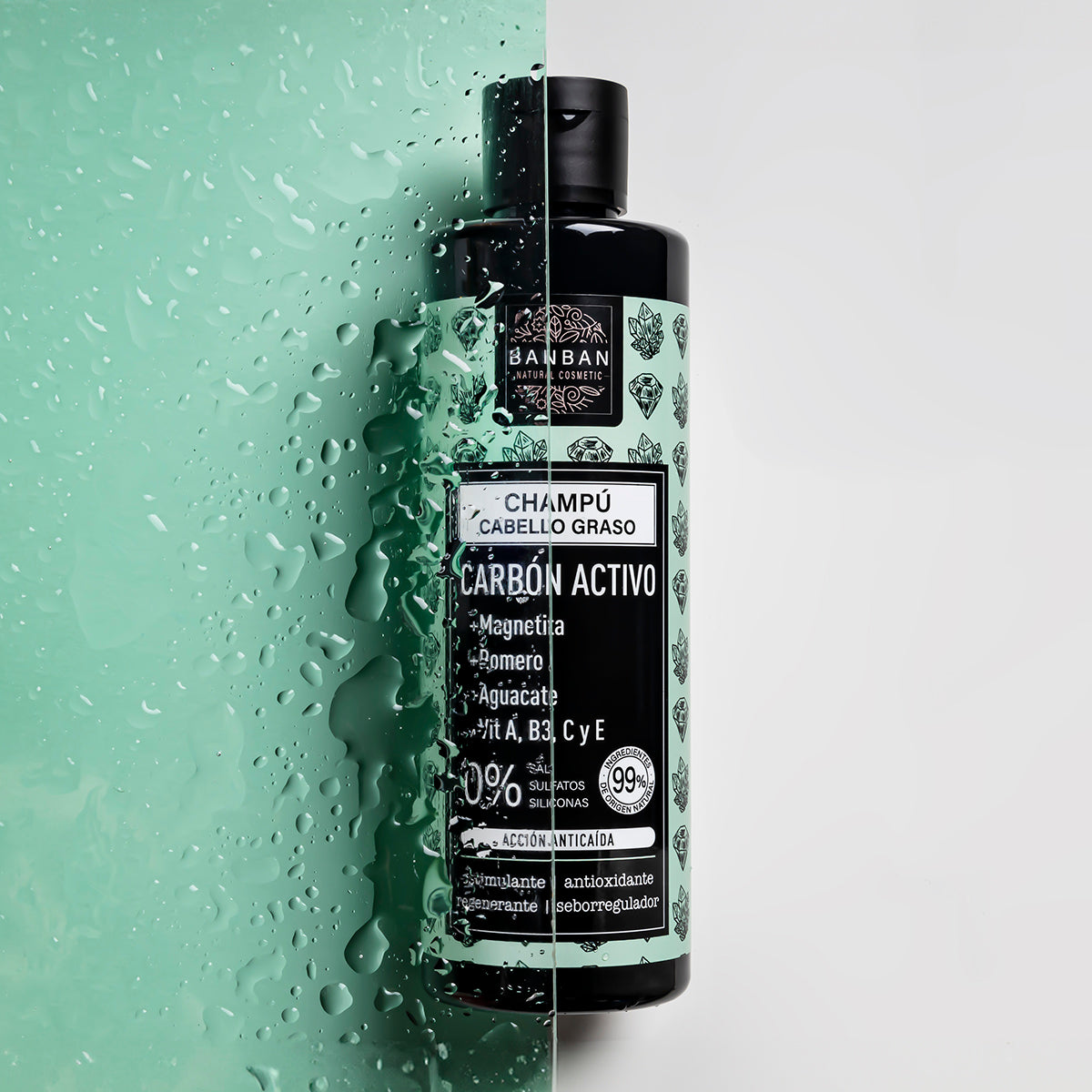 Champu Carbon Activo Anticaida 250ml Banban_1