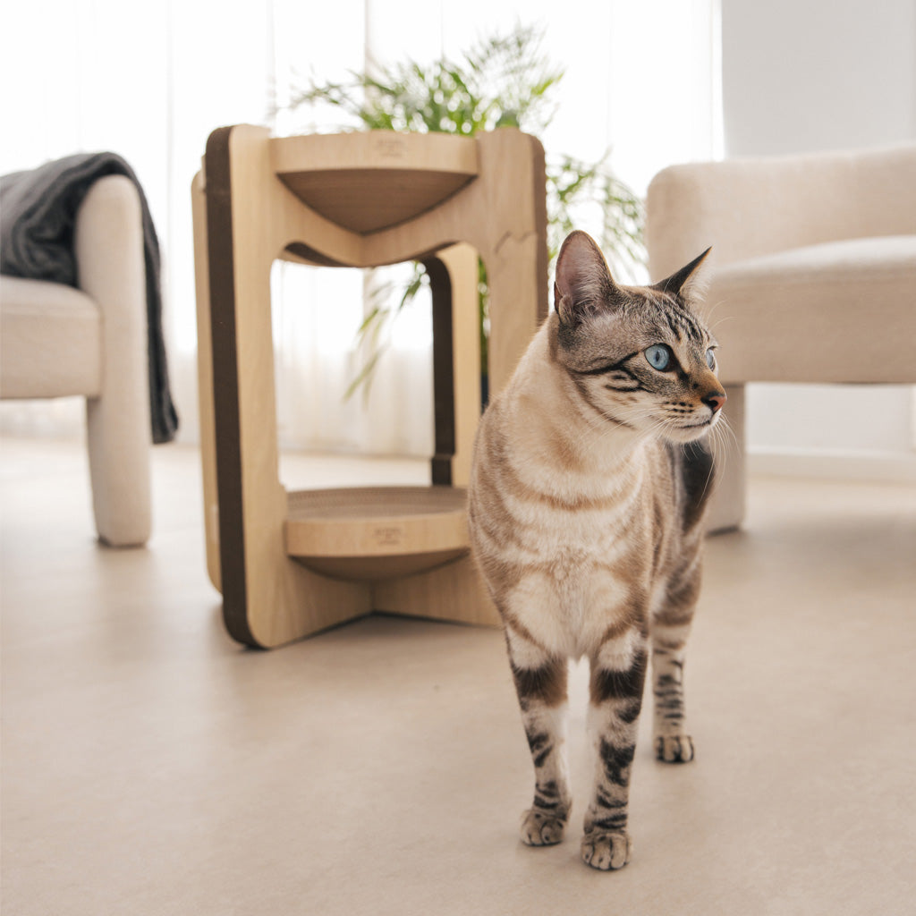 Rascador Torre Para Gatos.