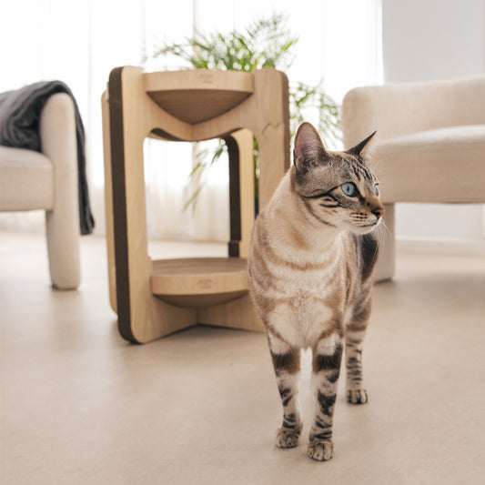 Rascador Torre Para Gatos.