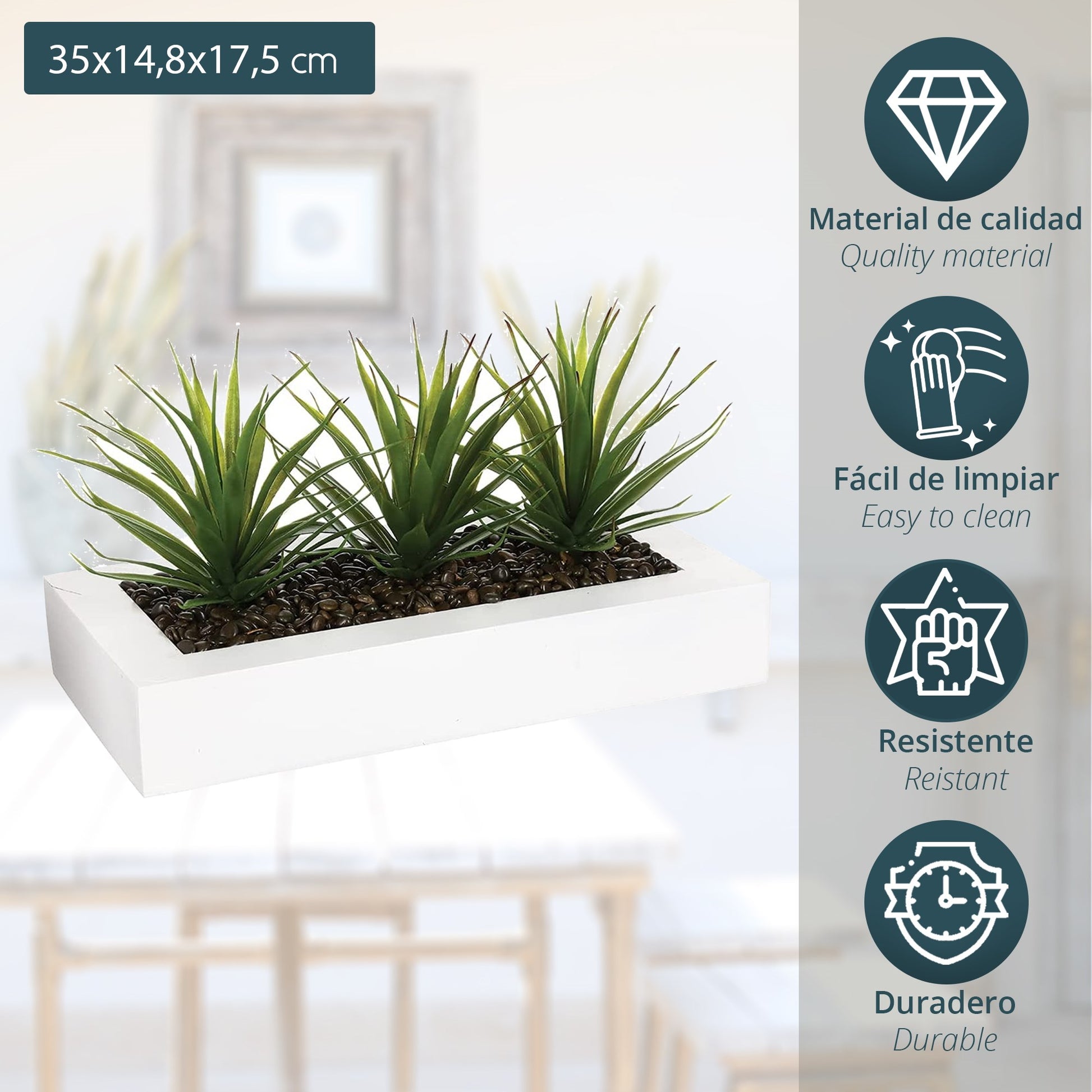 Centro De Mesa - 3 Aloe Vera - Altura 17 Cm_1