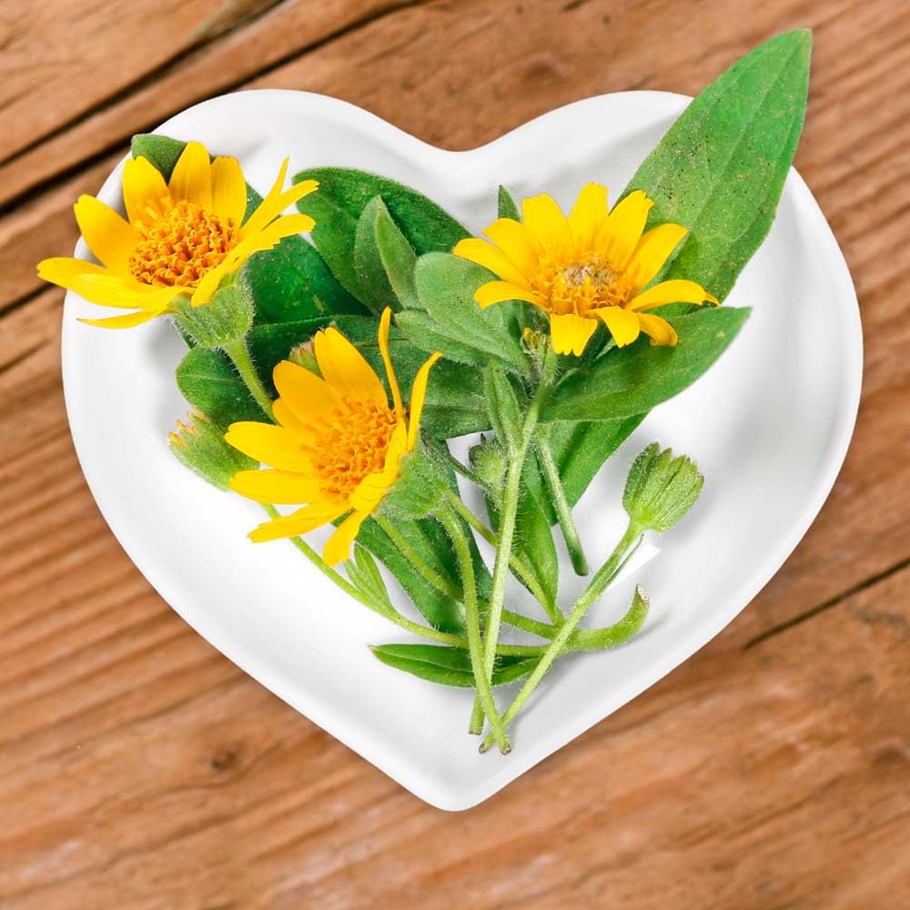Jabón Natural De Árnica (90g) - Mejora Las Varices Y Hematomas - Alivia Las Piernas Cansadas - Cara Y Cuerpo_3