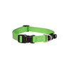 Collar Para Perro, Modelo Classic De Rogz Color Lima. Talla M (12-22kg)