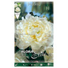 Bulbo Peonia blanca Duchesse de Nemours 1 ud