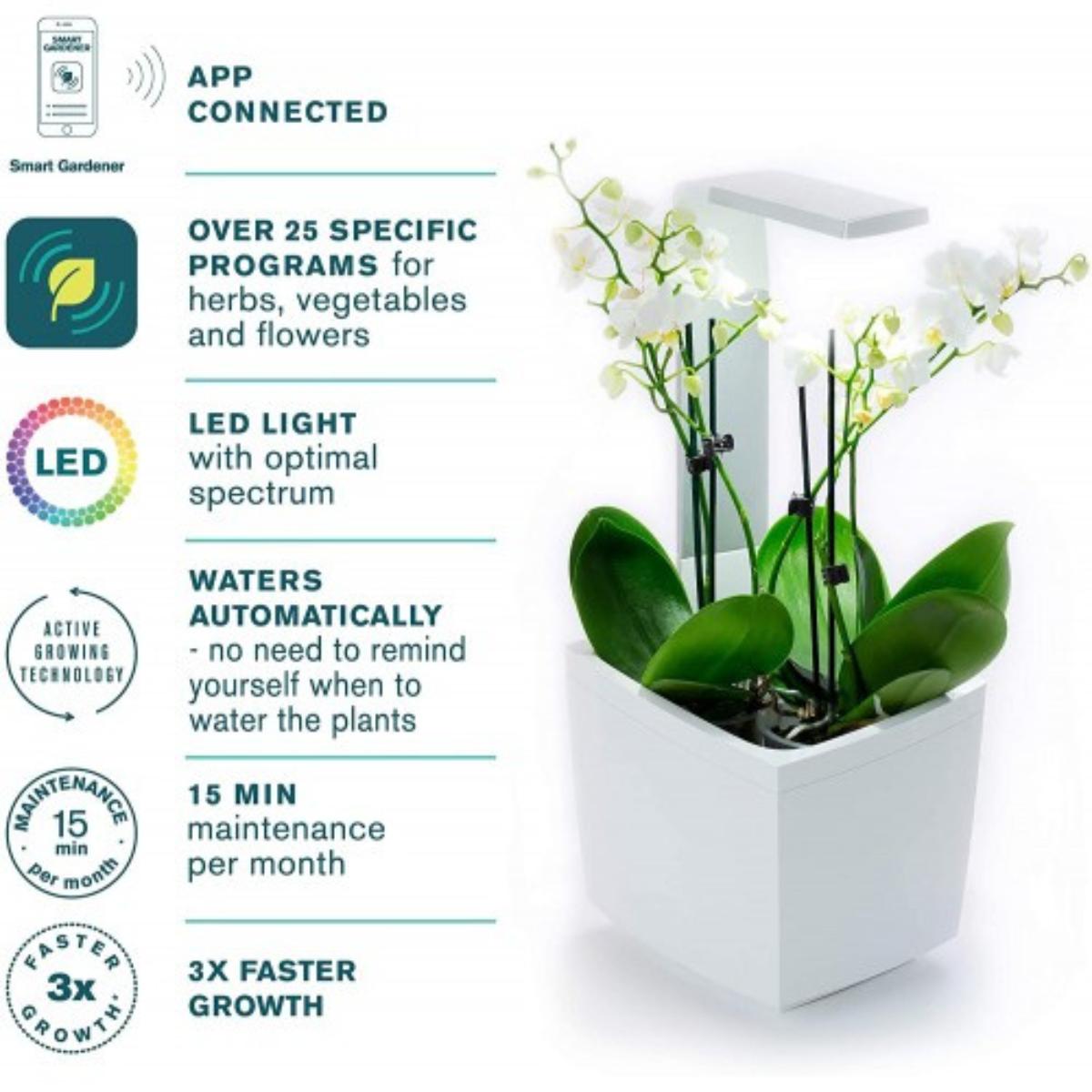 Maceta autocultivo T3 Kitchen Garden 20 x 17,5 cm Negro