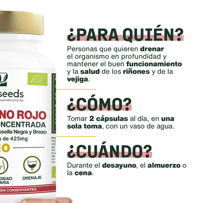Arándano Rojo Bio, Fórmula Con Grosella Negra Y Brezo | 60 Cápsulas_1