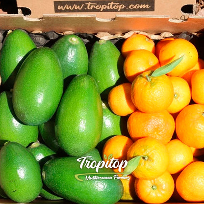 Caja 4kg Mix Aguacates De Piel Lisa Y Mandarinas | 2kg De Cada Fruta_2