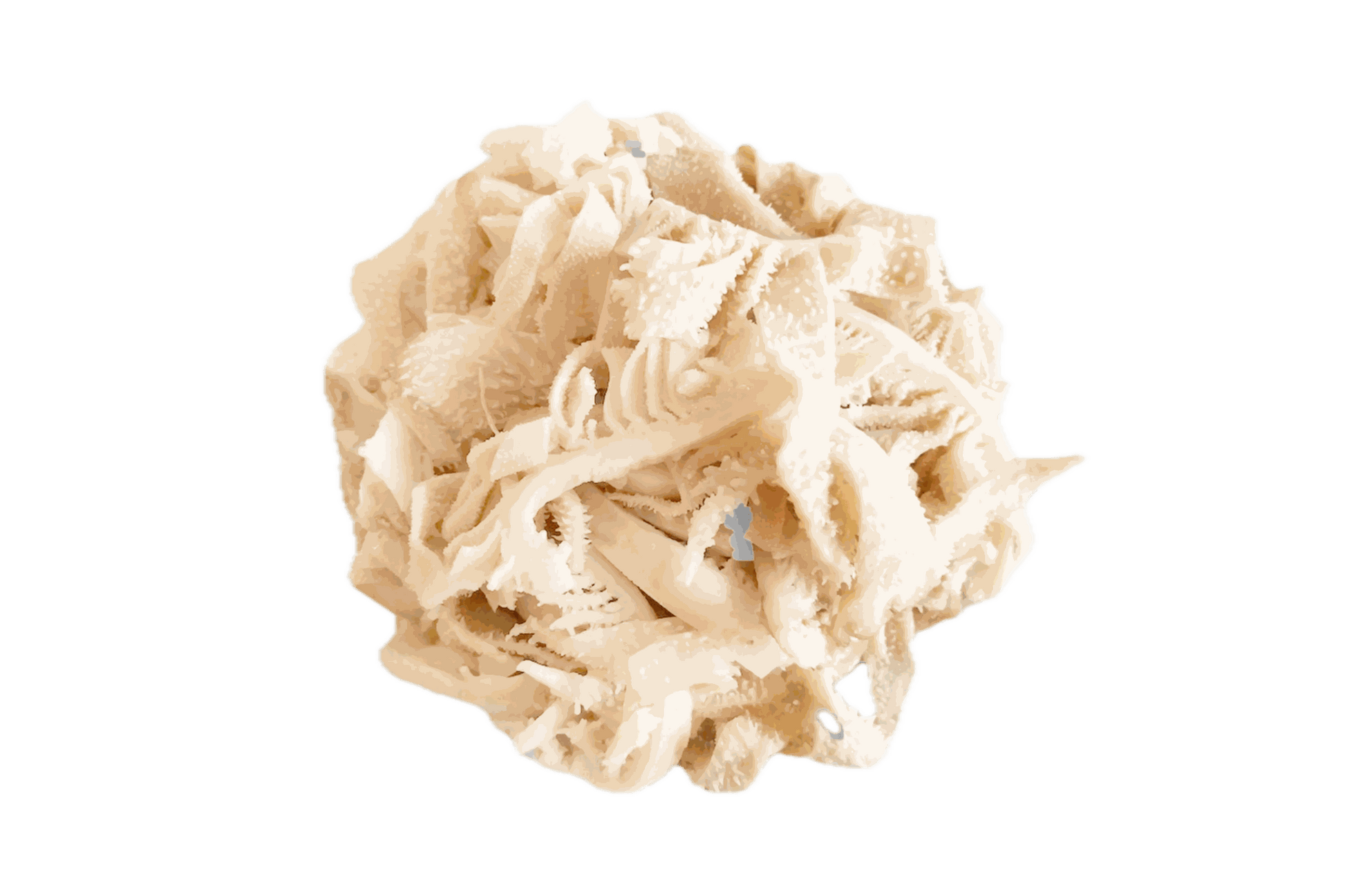 Callos Limpios Troceados Y Lavados De Vacuno Alimentado 100% A Pasto. Paquete de 400 gr._0