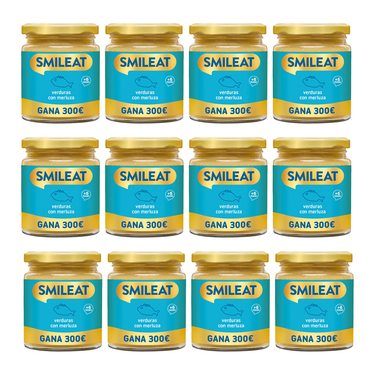 Pack 12x Tarrito BIO verduras y merluza +6 meses Smileat 230g