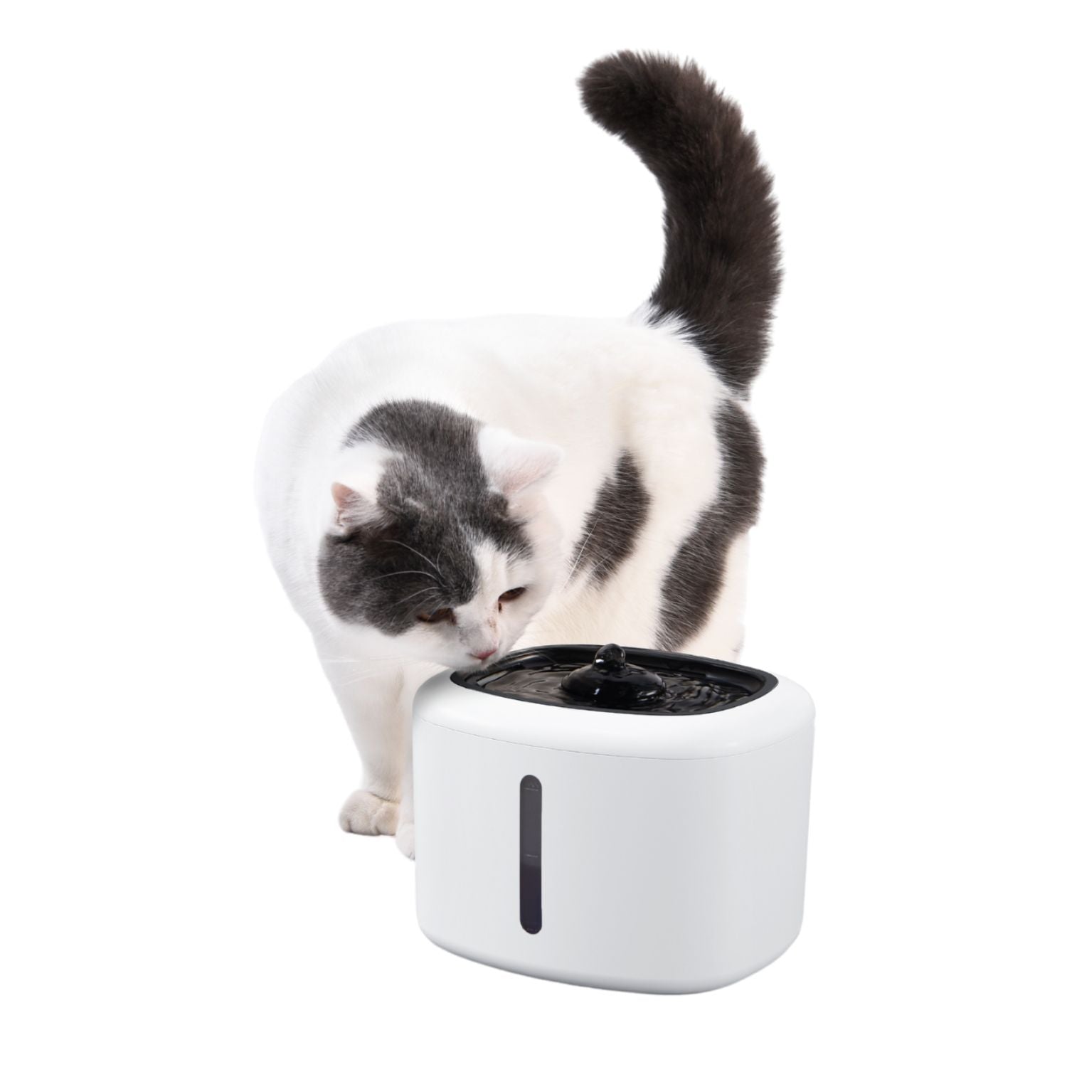 Fuente De Agua Electrónica Para Que Gatos Y Perros Disfruten De Agua En Movimiento. Capacidad 2,5l_2