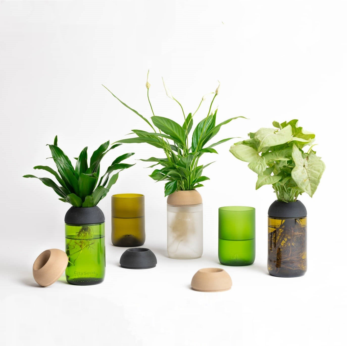 Macetero Transparente Citysens Con Soporte De Ébano – Ámbar, Vidrio Reutilizado Y Biofilamento Con Madera Impreso En 3d_3