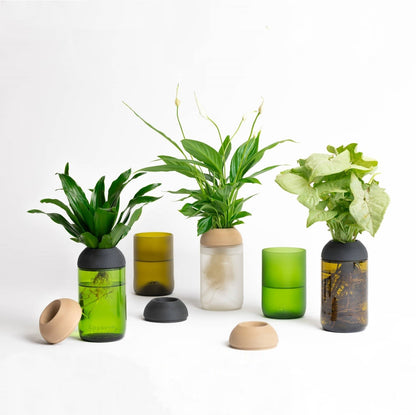 Macetero Transparente Citysens Con Soporte De Ébano – Verde, Vidrio Reutilizado Y Biofilamento Con Madera Impreso En 3d_3