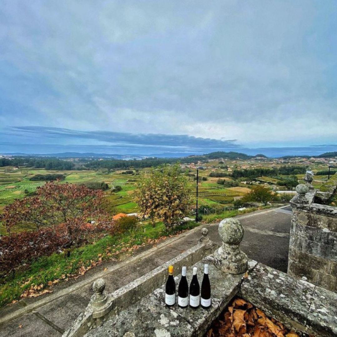 Vino Blanco - Leirana 2021 - Forjas Del Salnés - Albariño 2023_1