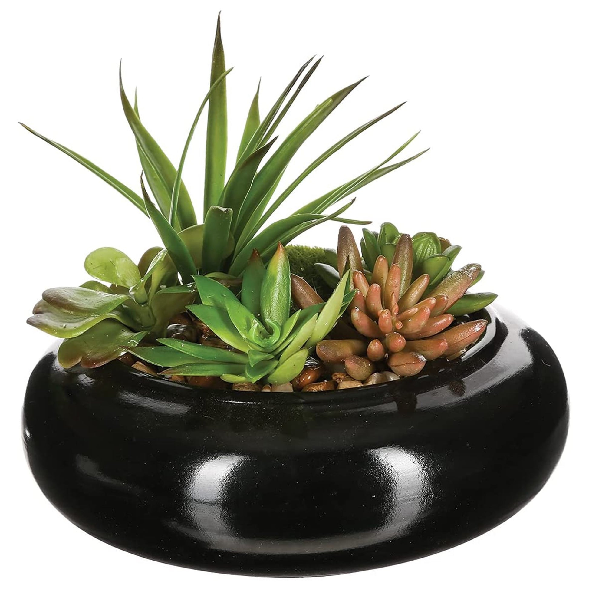 Surtido De Plantas Con Florero De Cerámica L.20 X P.20 X A 6_0