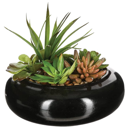 Surtido De Plantas Con Florero De Cerámica L.20 X P.20 X A 6_0