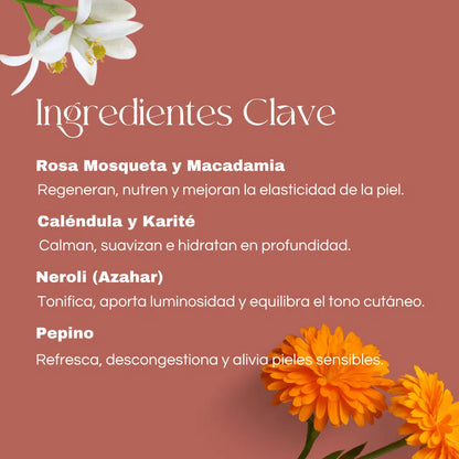 QKnatur - Lumi Intensive Crema Facial Regeneradora Con Rosa Mosqueta, Karité Y Caléndula – Pieles Sensibles 50 Ml_5