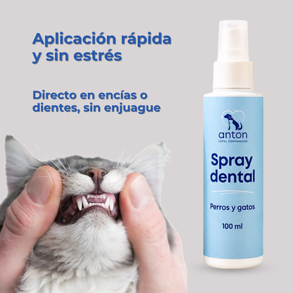 Spray dental natural para la higiene bucal diaria de perros y gatos – 100 ml_2