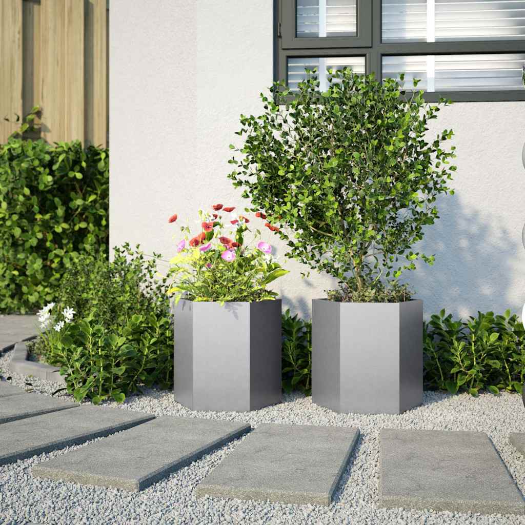 Jardineras Hexagonales 2 Uds Acero Inoxidable 46x40x45 Cm_2