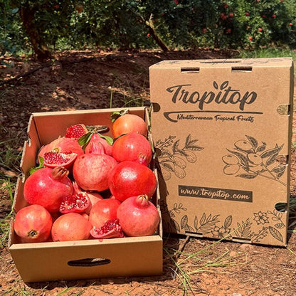 Granada Fruta Fresca directa del campo - Caja 2kg